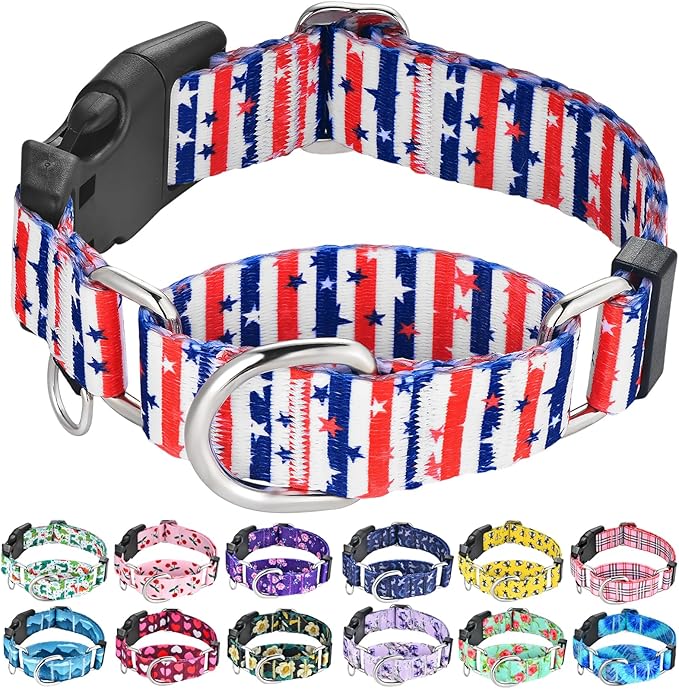 American Flag Martingale Dog Collar 4th of July Patriotic, Large
