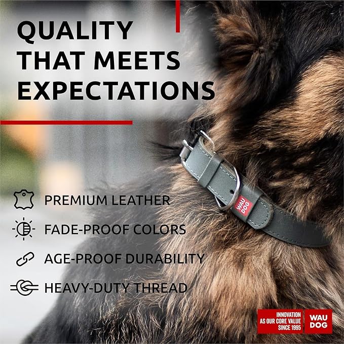 WAUDOG Genuine Leather Dog Collar Adjustable Large Medium Small QR Code Tag