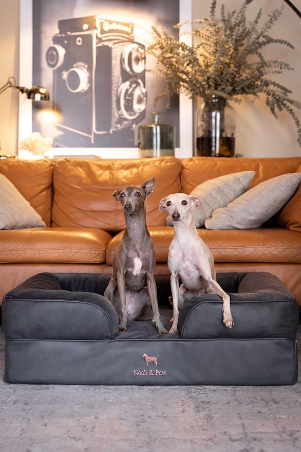 NOAH & PAW Large Dog Bed, 35x25x11 Inch, Orthopedic Dog Beds, Eggshell Memory Foam Infused with Cooling Gel, Inner Cover, Water Resistant, Machine Washable (Faux Leather)
