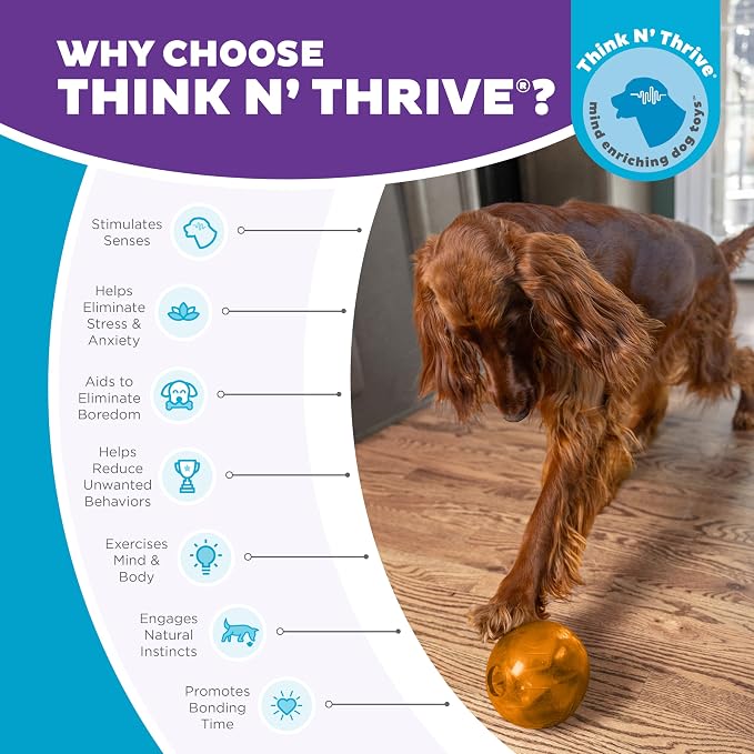 Outward Hound Orbee-Tuff Mazee Interactive Dog Puzzle Toy, Treat Dispensing Slow Feeder Ball, Orange, 4.7-Inch