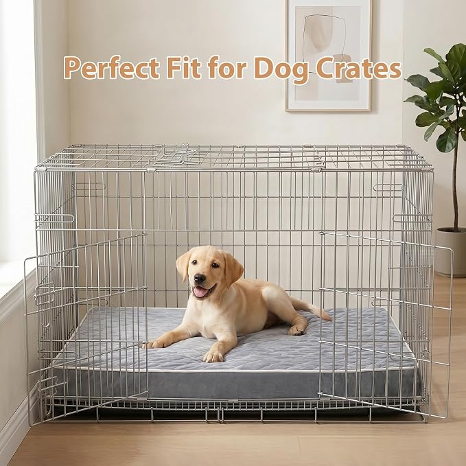 WNPETHOME Orthopedic Waterproof Large Sized Senior Dogs Bed for Comfy Sleep | Washable Ped Bed with Removable Cover, Multi-Needle Quilting Large Dogs Crate Bed for Dog Relax, Light Grey 36x27 Inch