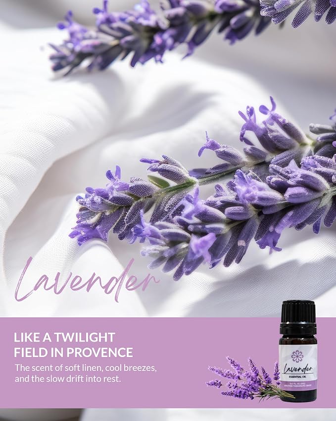 Essence Pearl Travel Case | Lavender Essential Oil | Aromatherapy Nasal Diffuser & Essential Oil Carrying Case | Calming Lavender Oil Scent | Travel-Friendly Kit | White Pod