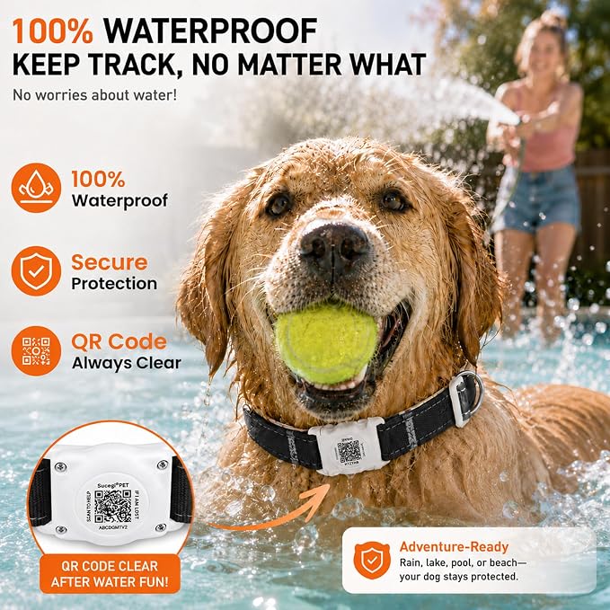 AirTag Dog Collar with QR Code ID, Collar with Air Tag Holder, Black, XL