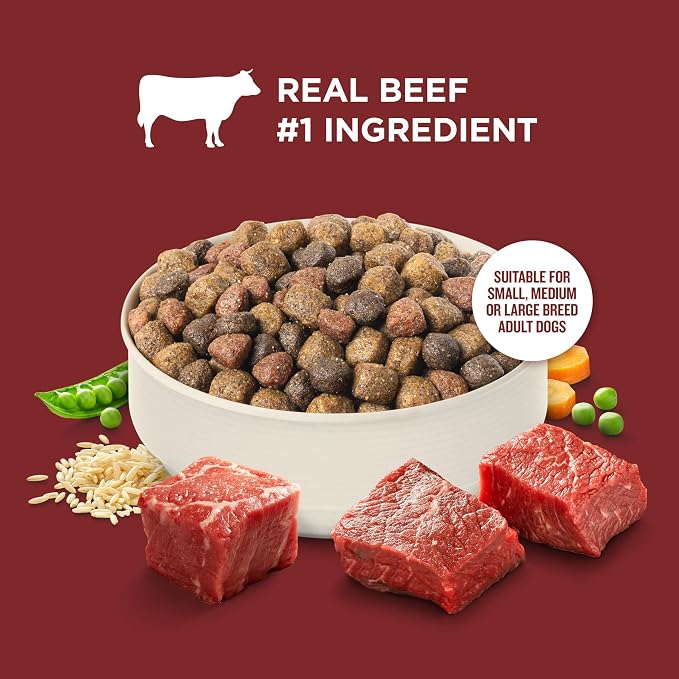Nutrish Rachael Ray Adult Dry Dog Food Real Beef, Pea & Brown Rice Recipe, 5 lb. Bag (Pack of 2)