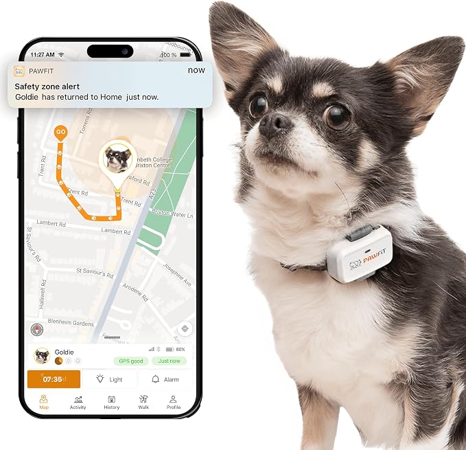 Pawfit Lite 4G GPS Dog Tracker, Live Tracking, Ultra-Light, Simply White