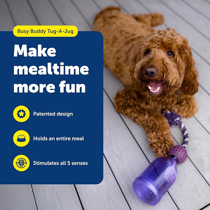 PetSafe Busy Buddy Tug-A-Jug Treat Dispensing Dog Toy, Small | Slow Feeder Toy Holds Kibble, Patented Treat Meter Dispenses Treats Randomly, Top-Rack Dishwasher Safe, for Dogs 10-40 Lb