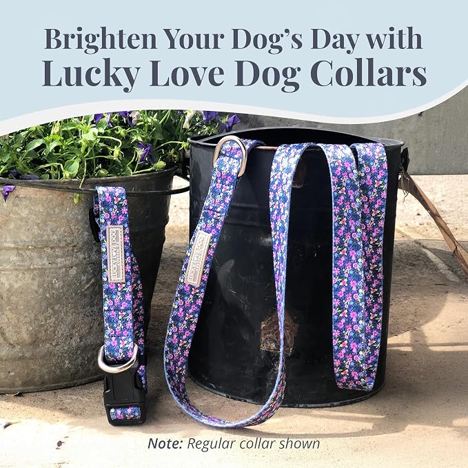 Lucky Love Dog Martingale Collar & Leash Set No Slip Cute – Primrose, Large