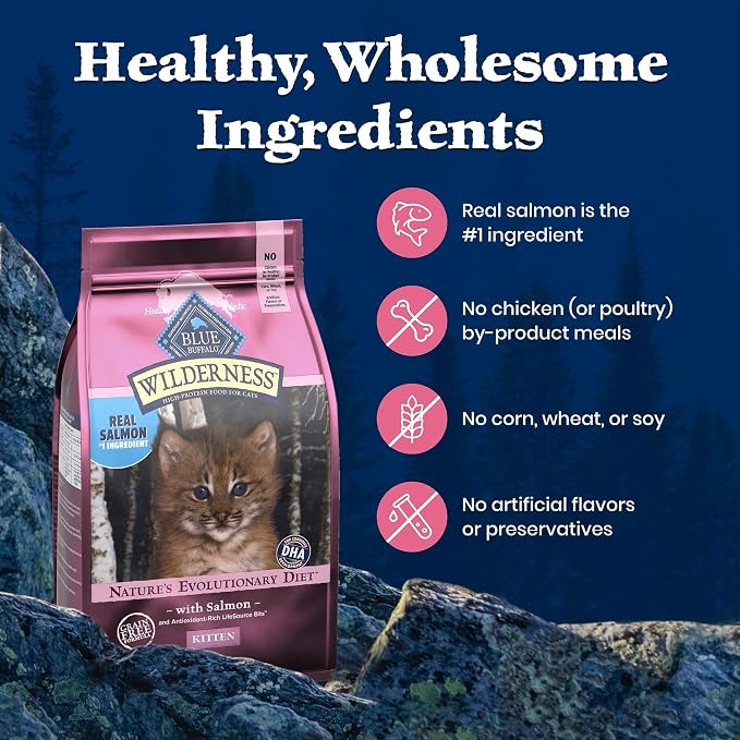 Blue Buffalo Wilderness Salmon Kitten Dry Cat Food, Grain-Free, 5 lb | High Protein, Real Salmon #1 Ingredient, DHA & ARA for Brain and Eye Development, Antioxidant-Rich LifeSource Bits