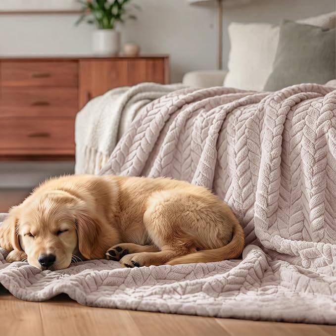 Exclusivo Mezcla Soft Fleece Bed Blanket Twin Size, 60”x80”, Camel | Cozy Fluffy Lightweight Blankets for Summer, Decorative Plush Flannel Throws for Living room, Bedroom with Leaves Pattern