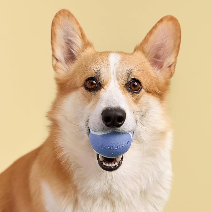 Playology Squeaky Chew Ball Dog Toy - Medium, Blueberry Scent
