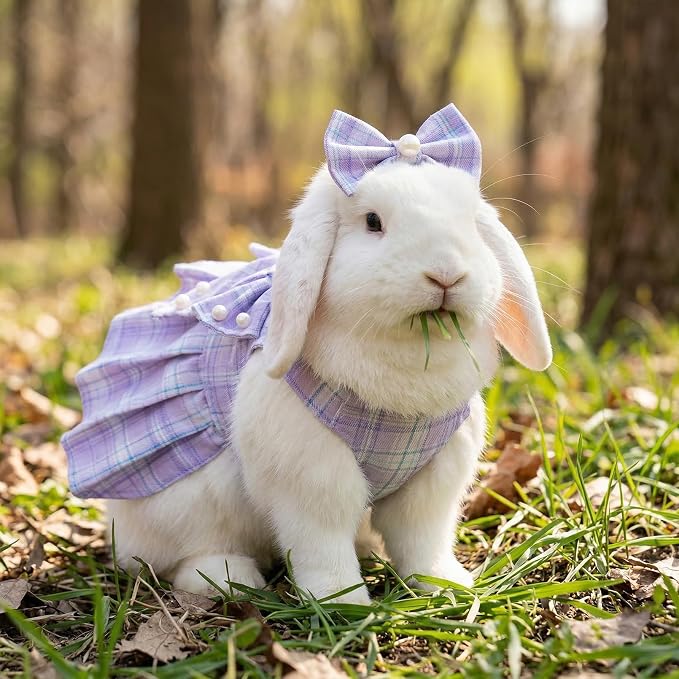 Cute Plaid Dog Dress Clothes for Small Dogs Cats Girl Purple Plaid Dog Dress with Pearls Bow Tie Harness Leash for Spring Summer Birthday Puppy Bunny Rabbit Yorkies Chihuahua Outfits
