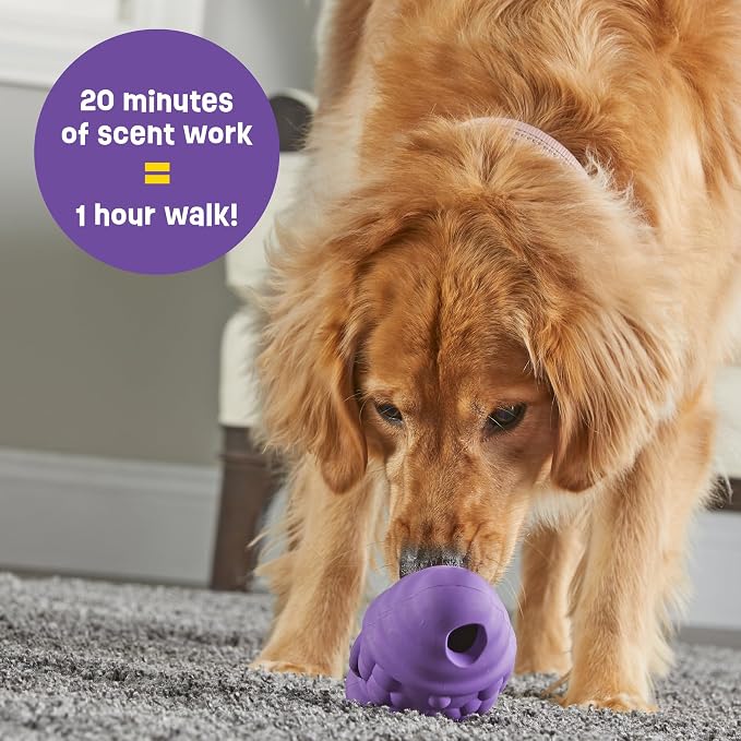 Brightkins Tough & Tumble Treat Dispenser Large Gnome - Enrichment Toys for Dogs, Treat Dispensing Dog Toys, Dog Toy Snack Dispenser, Interactive Puppy Games, Mental Stimulation for Dogs, Durable Ball
