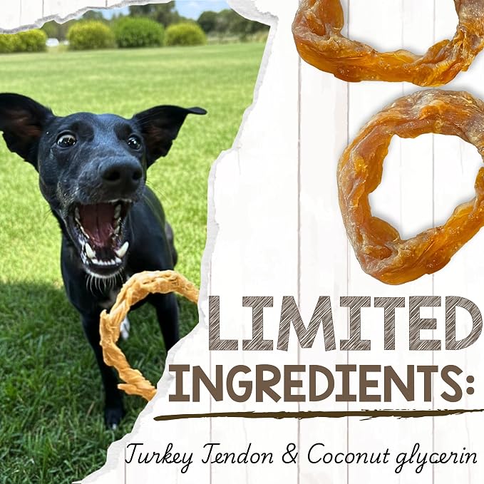 Nature Gnaws USA Turkey Tendon Rings Dog Treats, 8 oz | Grain Free Reward Snack for Small, Medium & Large Breeds - Premium Natural Dog Chew Treats - No Artificial Preservatives