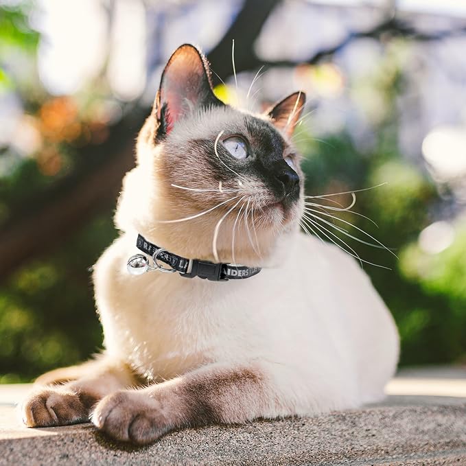 Pets First COLLAR for CATS - NFL LOS VEGAS RAIDERS CAT COLLAR. - Strong & Adjustable FOOTBALL Cat Collars with Metal Jingle Bell
