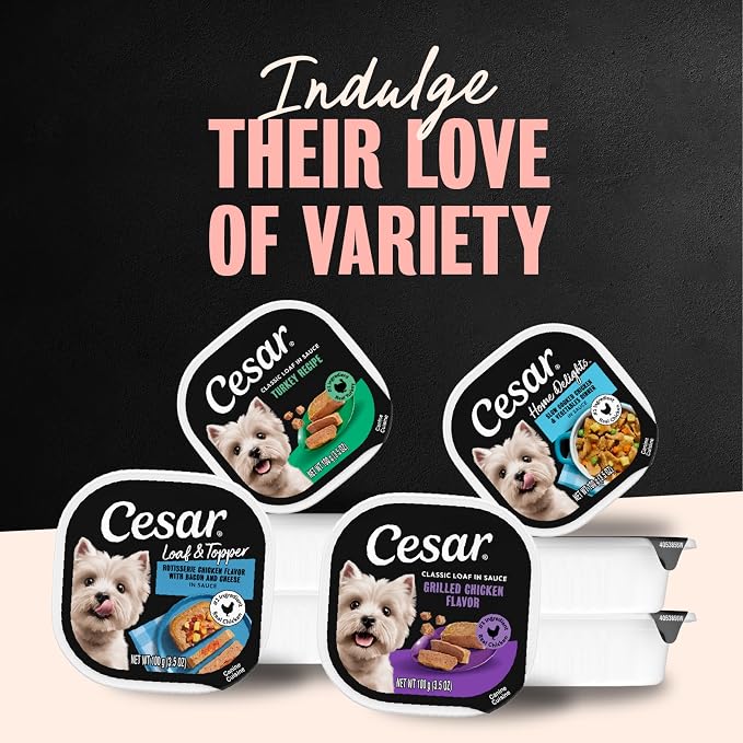 Cesar Classic Loaf in Sauce Wet Dog Food, Poultry Lovers, 3.5 oz, 36 Count | Real poultry #1 ingredient, no fillers or artificial flavors, easy-to-digest, slow-cooked tender texture, easy peel trays