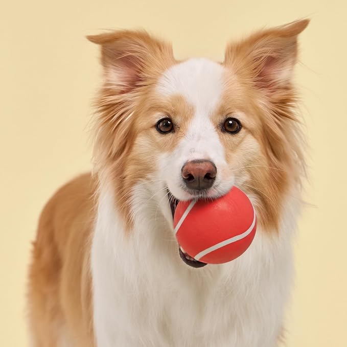 Playology Squeaky Chew Ball Dog Toy - Jumbo, Beef Scent