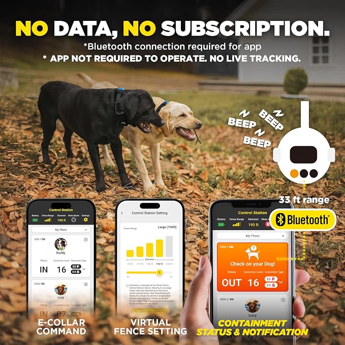 Dogtra Smart Fence Additional Receiver Only (Orange) - Expand to 2 Dogs, Requires Control Station, Wireless Electric Dog Fence System, No Subscription, 2-Tier Alarm, Tone/Vibration/Static, 35 lbs+