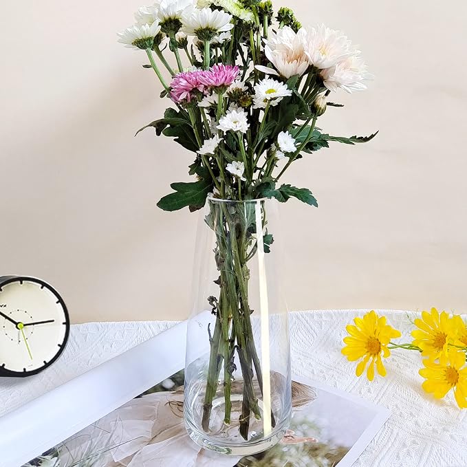 Aoderun Glass Vase for Flowers Modern Vases Home Decor Unique Flower Vase for Bouquet 8.7" Centerpiece Vase Decor Room,Bedroom,Living Room,Library,Office,Table,Entryway,Modern Farmhouse(Clear)