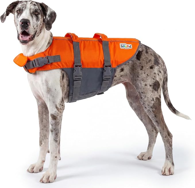 Outward Hound Granby Splash Dog Life Jacket, Life Vest, Orange, XL | Max Buoyancy, Adjustable Fit, Head/Neck Support, Rescue Handle, Reflective, Swimming & Boating, XL Dogs (33–44" Girth)