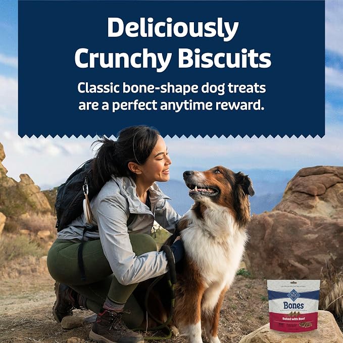 Blue Buffalo Bones Beef Mini Dog Biscuits, 12 oz, 4 ct | Real Beef First, Classic Bone-Shaped Biscuit, No BHA, Meat & Bone Meal, or Artificial Preservatives,