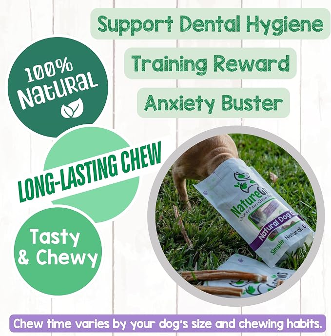 Nature Gnaws Extra Thin Bully Sticks 5-6" Rawhide Free Dog Chews, 10 Count | Long Lasting for Light Chewers and Puppies - Natural Beef Dog Chew Bones - Single Ingredient - No Artificial Preservatives