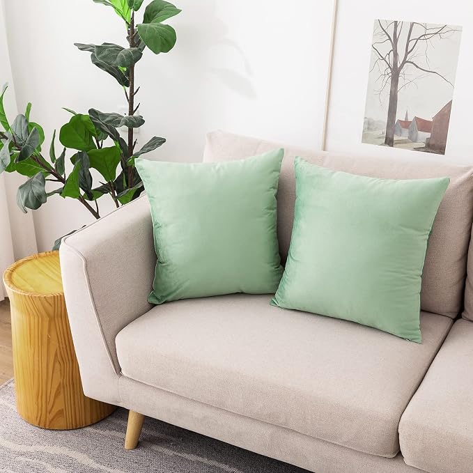 NiNi ALL SageGreen Velvet Throw Pillow Covers 16x16 Pack of 2 Decorative | Couch Soft Solid Boho Cushion Squar Pillow Cases for Chair Sofa Bedroom Farmhouse Living room Modern Luxury Home Christmas