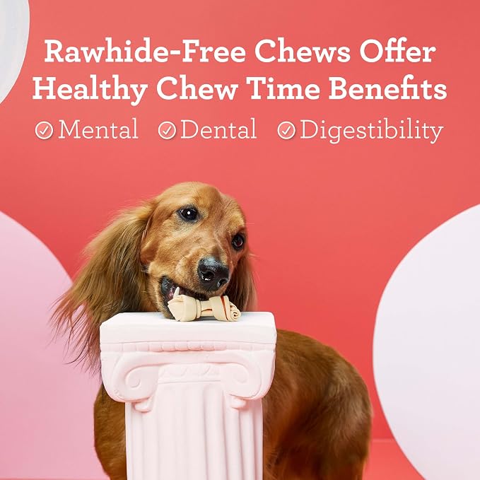 DreamBone Mini Bone Rawhide-Free Dog Treats With Real Protein, 24 Count | Daily Chew, Digests Safely and Completely, Made With Real Protein, Chicken and Veggies, For Adult Dogs