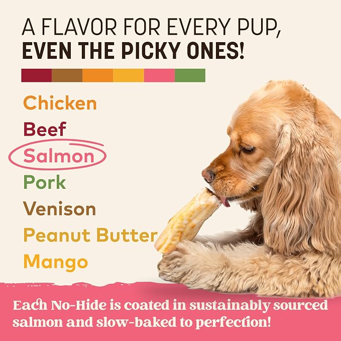 Earth Animal No Hide Dog Chews - Rawhide Free Small Rolls 6 Count Salmon | Small Rolls Salmon Flavored Natural Rawhide Free Long Lasting Dog Chews - Pet Treats for Small Dogs