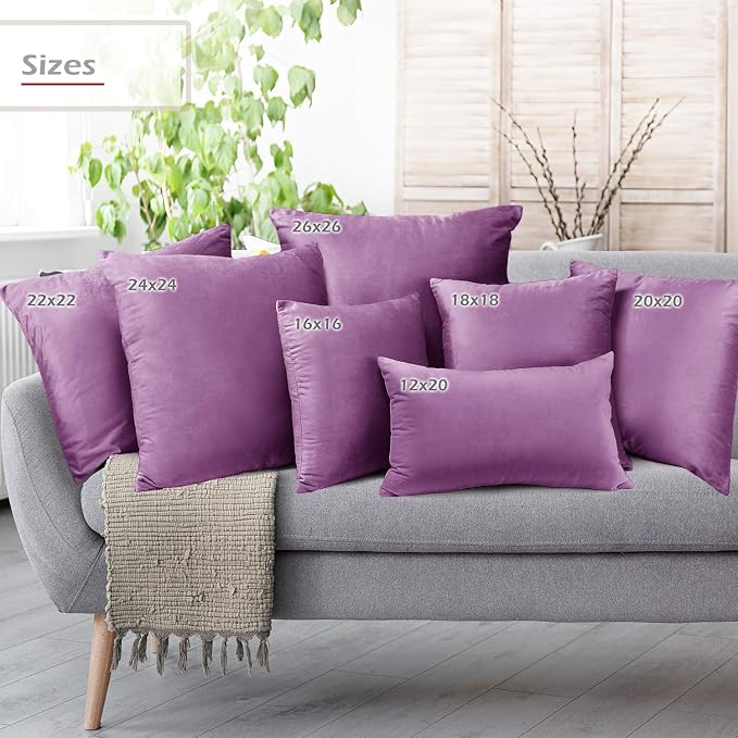 Throw Pillow Inserts Pack of 2 with Velvet Soft Solid Decorative Square Throw Pillow Covers Set for Sofa Couch Car Bedroom, 18X18 Throw Pillows Inserts with 16x16 Washable Cushion Covers, Lavender