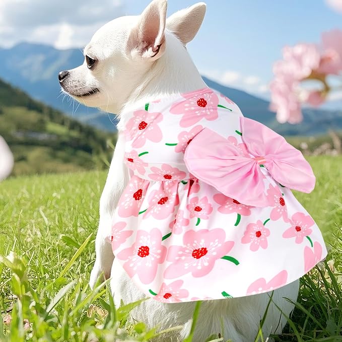 choyaxo Floral Dog Dress Cute Dog Skirt Pet Dress Summer Pet Clothes for Puppy Small Cats,S