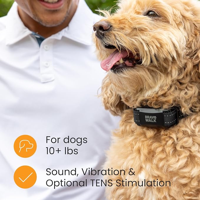 Dog Training Collar to Stop Dog from Pulling on Walks, Remote-Free (MED)