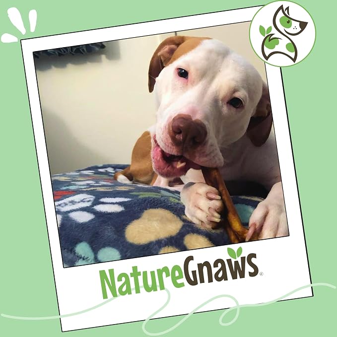 Nature Gnaws Extra Thin Bully Sticks 5-6" Rawhide Free Dog Chews, 10 Count | Long Lasting for Light Chewers and Puppies - Natural Beef Dog Chew Bones - Single Ingredient - No Artificial Preservatives
