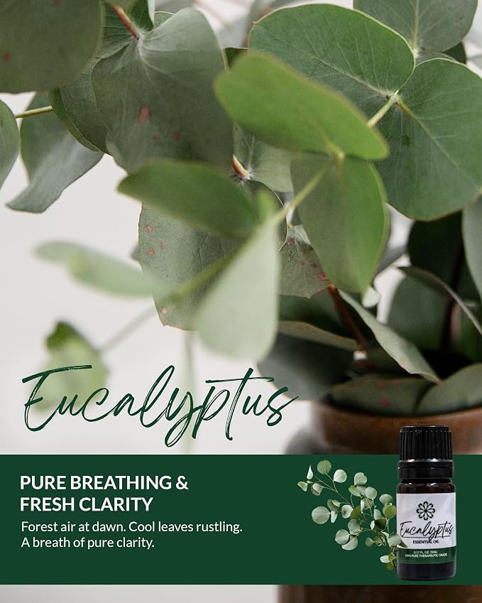Essence Pearl Travel Case | Eucalyptus Essential Oil | Aromatherapy Nasal Diffuser & Essential Oil Carrying Case | Refreshing Eucalyptus Scent | Travel-Friendly Kit | Black Pod
