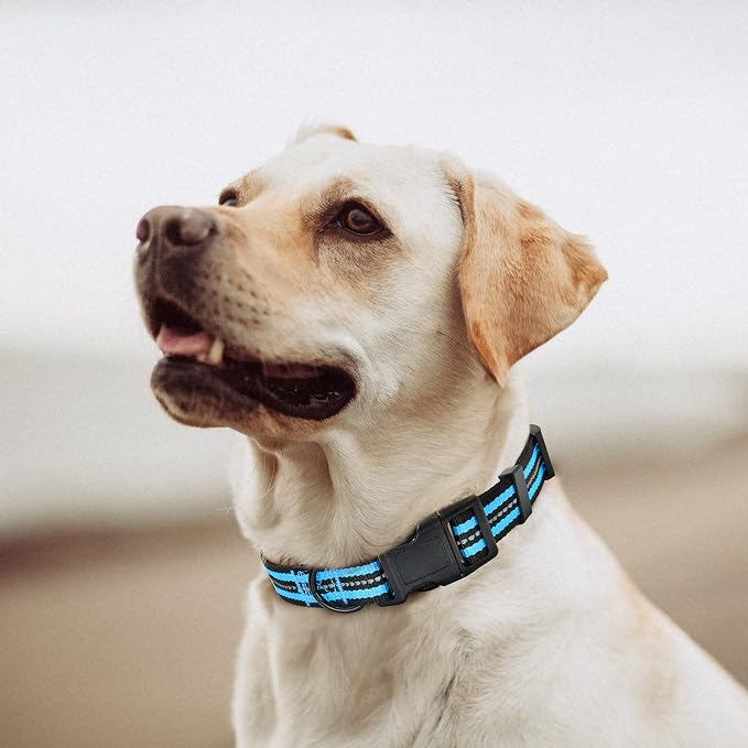 Mile High Life Reflective Dog Collar, Adjustable Lightweight Quick Release