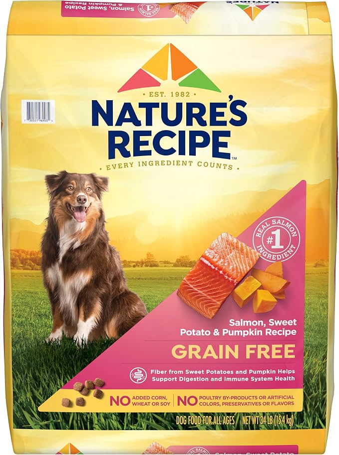 Nature's Recipe Grain Free Salmon Dry Dog Food, 34 lb. Bag | Fiber From Sweet Potatoes & Pumpkin Helps Support Digestion and Immune System Health