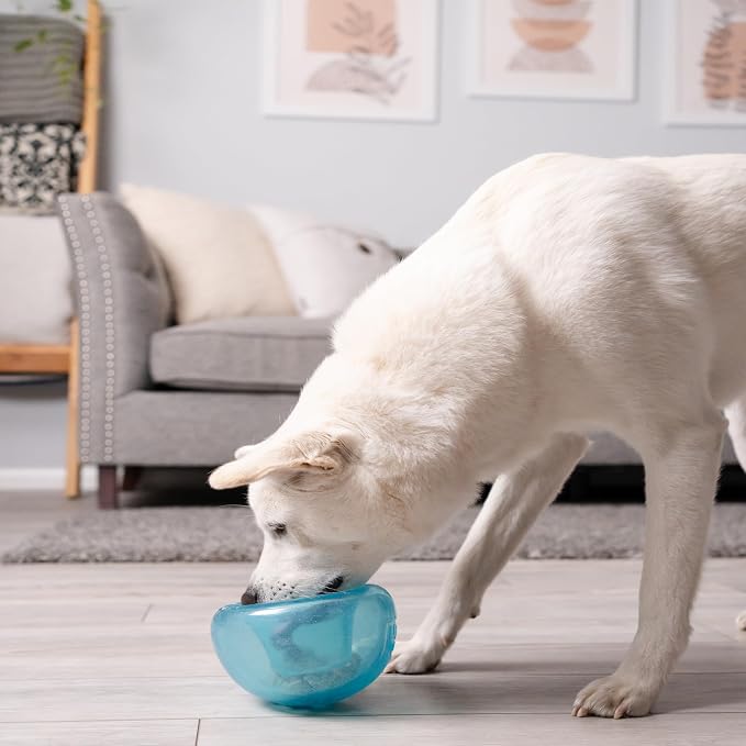 Outward Hound Snoop Interactive Treat Dispensing Dog Toy, Blue, 5" | Rolls & Bounces, Treat Stuffer, Puzzle Ball & Slow Feeder, Enrichment, Mint Scented, Easy Clean, No BPA, Medium to Large Dogs