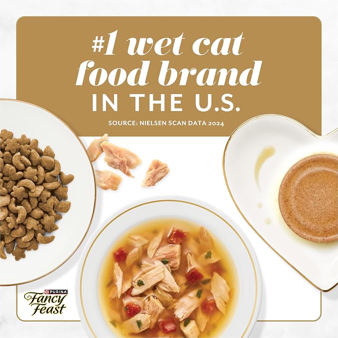Fancy Feast Purina Savory Centers with Salmon Wet Cat Food Pate with Gourmet Gravy Center - 3 oz. Cans,(Pack of 48)