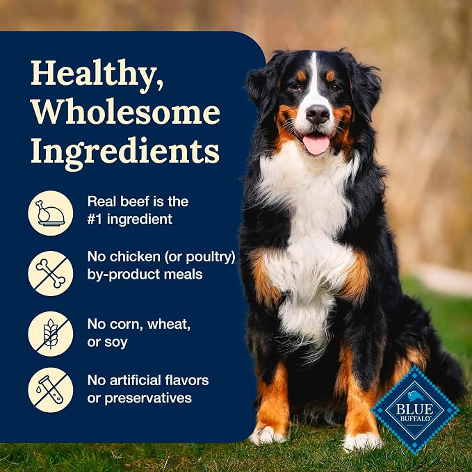 Blue Buffalo Delectables Beef Grain-Free Dog Food Topper, 3 oz, 24 ct | Grain-Free, Real Beef Cuts in Gravy, Single-Serve Pouches, No Chicken By-Product, Corn, Wheat, or Soy
