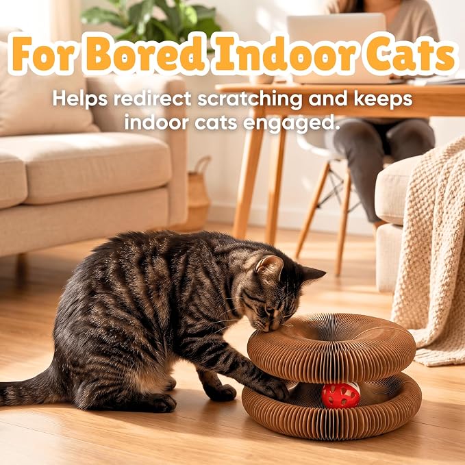KITTY KURLZ Interactive Cat Toy & Cardboard Cat Scratcher