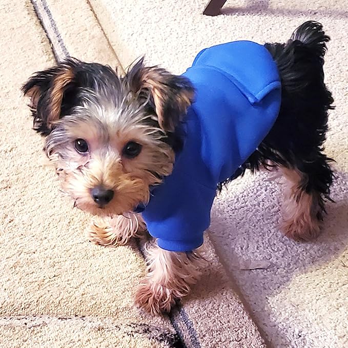 Soft Dog Hoodies for Small Dogs, Warm Fleece Puppy Clothes with Pocket | Jecikelon cold weather coat, cute puppy costume, breathable sweatshirt for dogs girl & boy, machine washable, easy on & off