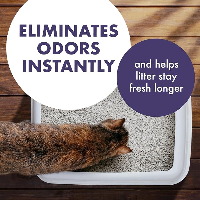 ARM & HAMMER Forever Fresh Cat Litter Deodorizer, 30 oz, 6-Pack