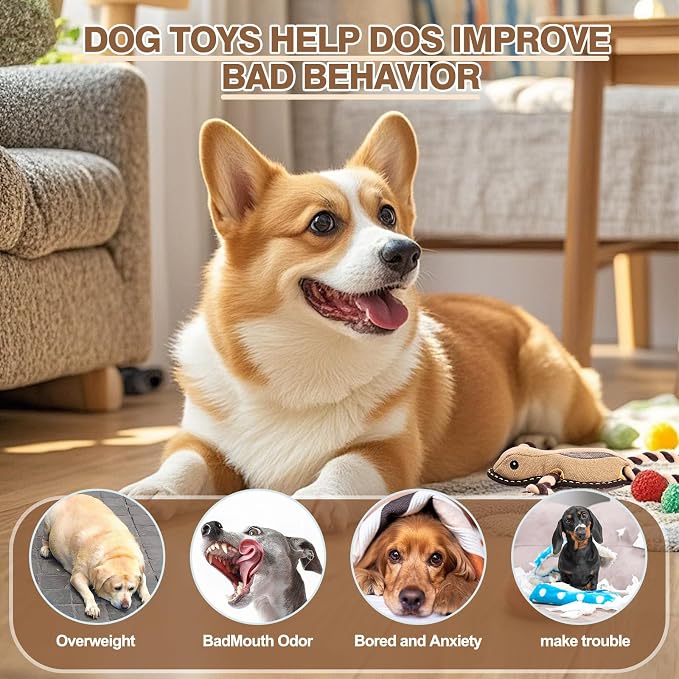 Tough Squeaky Dog Toys for Aggressive chewers Interactive to Keep Them Busy, Durable Funny Cute Tug of war Rope Birthday Dogs Toy for Small Medium Large (Frog)