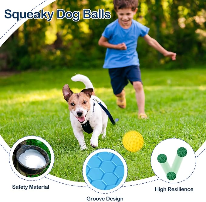 2 Pack Indestructible Squeaky Dog Balls for Aggressive Chewers, Interactive Dog Toys for Teething, Relieving Anxiety. Chew Toy for Large, Medium Breeds, Outdoor Rubber Balls.