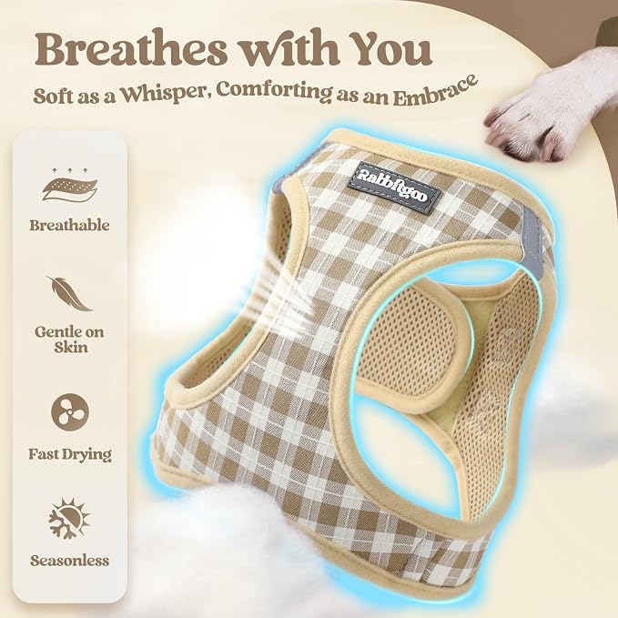 rabbitgoo Dog Harness Medium Sized and Leash Set, Step-in Puppy Pet Vest | Light, Soft, Breathable Air Mesh, Easy on and Remove with Hook & Loop, Secure Reflective for Walking, Beige Check L