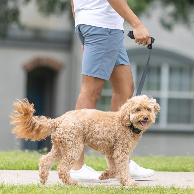 Dog Training Collar to Stop Dog from Pulling on Walks, Remote-Free (MED)