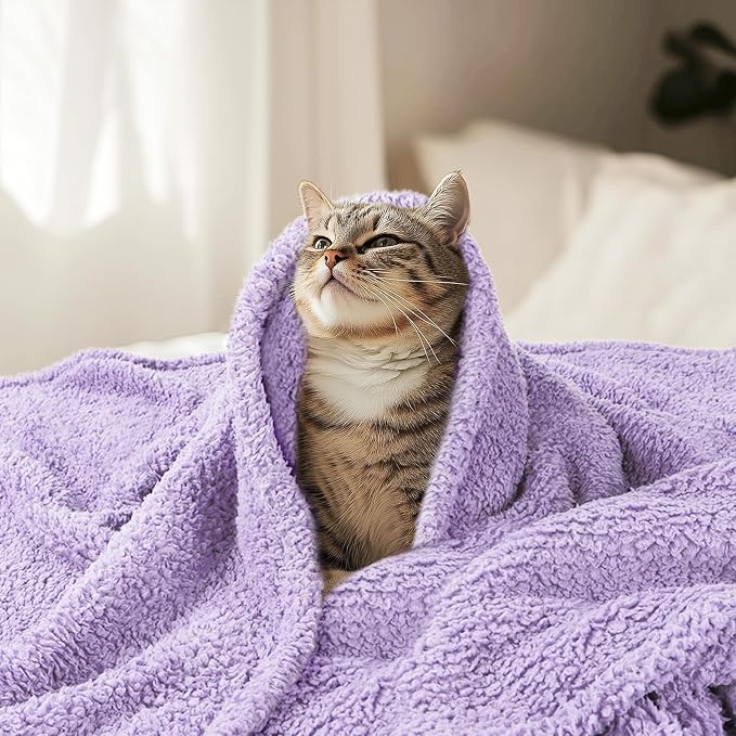 Luciphia Ultra Soft Sherpa Fleece Dog Puppy Cat Blanket for Small Pets | Calming Plush Throw for Crate, Couch, Car, Bed. Machine Washable. Puppy Essential, Cat Stuff,Violet,30"x20"