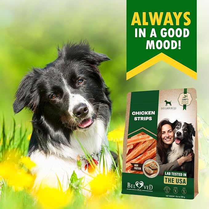 Beloved Pets Dog Chicken Treats Jerky Strips 10.6 oz - Human Grade Meat Sticks - Natural Pet Dried Snacks Rawhide - Free - Long Lasting Chews for Large & Small Dogs (Pack of 2)