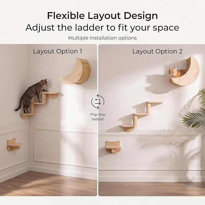 Cat Wall Shelves, Solid Wood Moon Bed, 3-Step Ladder & Perch for Climbing | 3-in-1 Wall-Mounted Cat Furniture;16-Inch Stud Wall;Hold Up to 40 lb;Wall & Corner Setup;Vertical Territory & Active Exercise