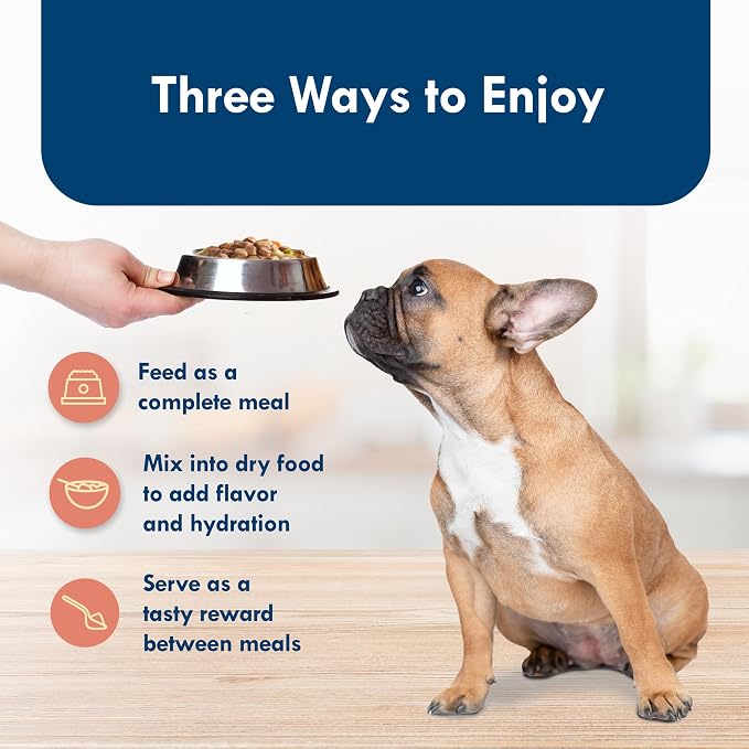 Blue Buffalo Delights Filet Mignon Small Breed Wet Dog Food, 3.5 oz, 12 ct | Adult Formula, Grain-Free, Pate Style, Real Beef First, in Savory Juice, No Corn, Wheat, or Soy