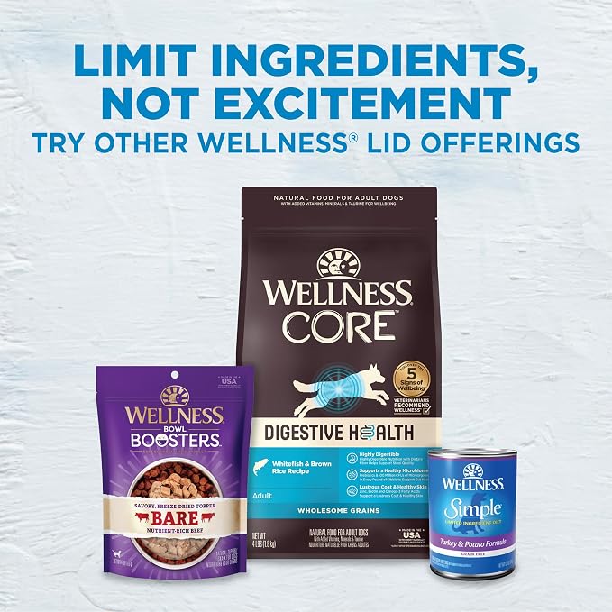 Wellness Simple Limited Ingredient Small Breed Adult Dry Dog Food, Grain Free Kibble, Sensitive Stomach, Skin & Coat Support, Natural, Chicken Free, Salmon and Potato Recipe, 10.5 lb Bag